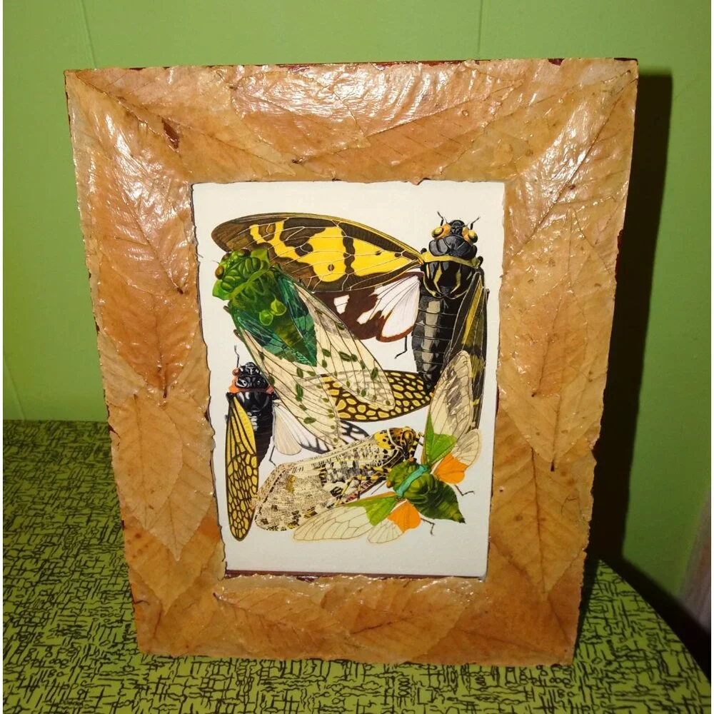 Vintage Art Print of Cicadas in Frame with Real Leaves goth witchy nature insect